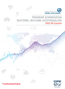 Pandemi Sonrasında Sektörel Büyüme Göstergeleri Raporu
